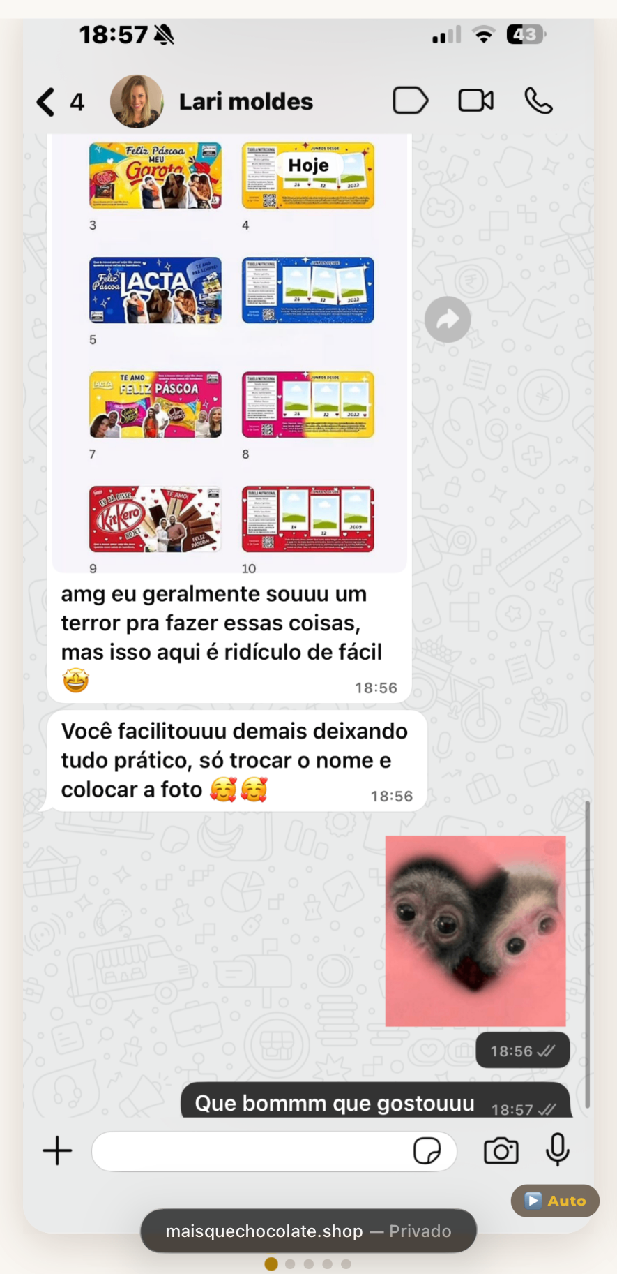 Depoimento real da Lari moldes no WhatsApp